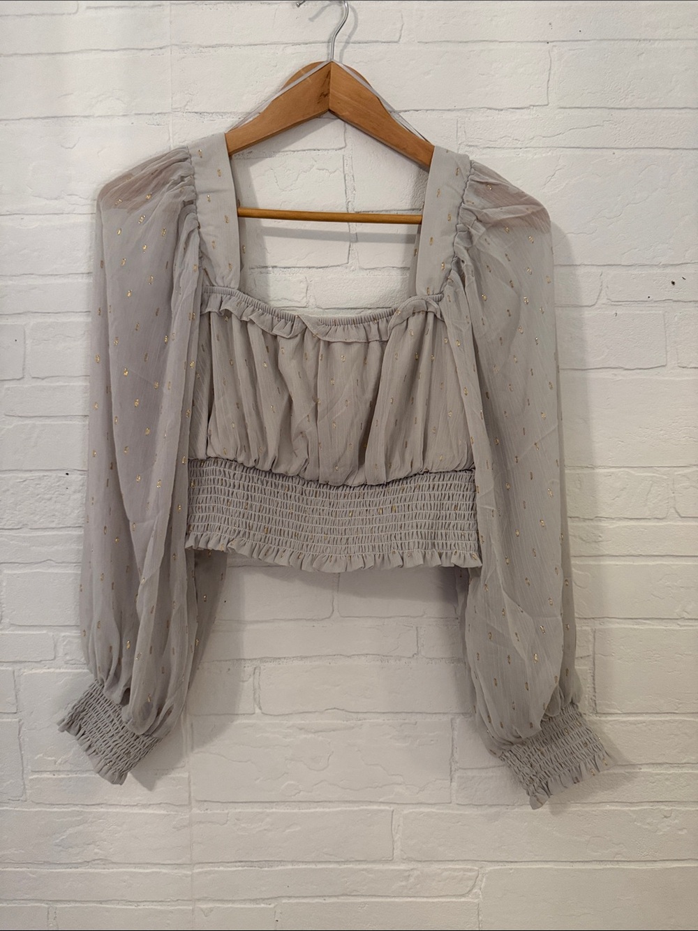 NWT Sheer Long Sleeve Crop Top - Light Gray with Gold Dots